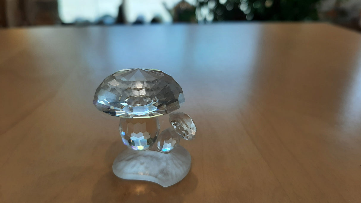 MUS0045 - Duo de champignons en crystal - petit format
