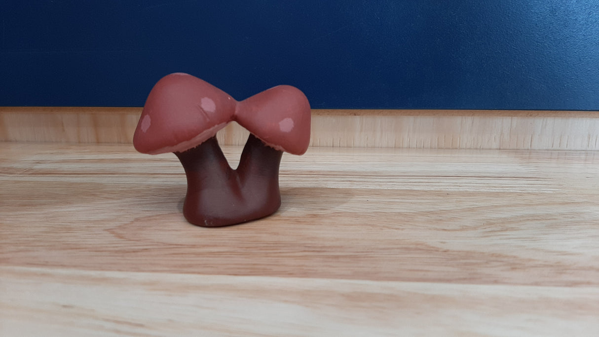 MUS0027 - Duo of small dark red mushrooms
