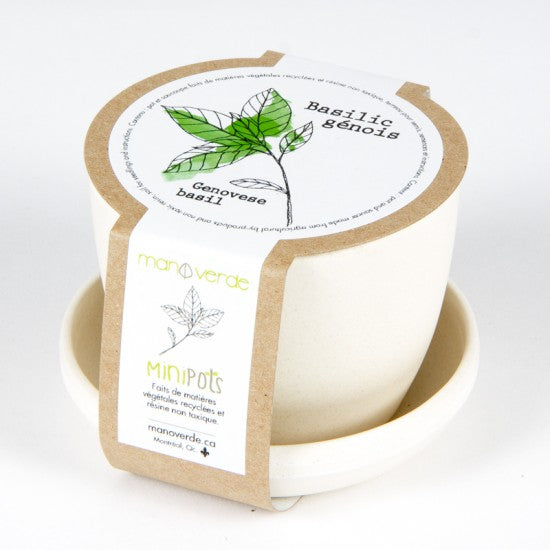 MAN10026 - Minipots - Genovese basil / genovese basil