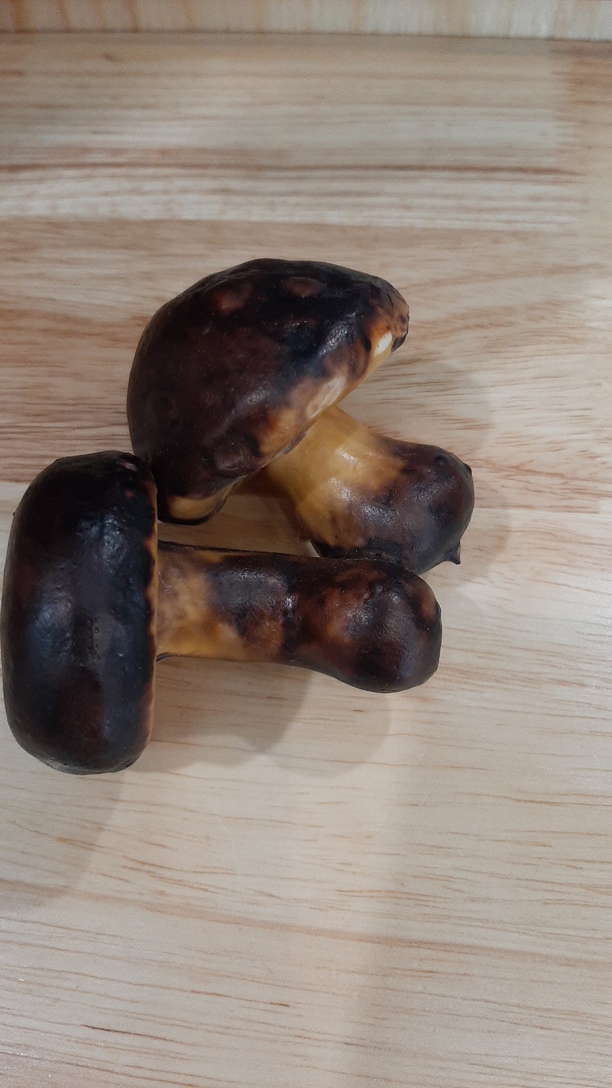 MUS0030 - Duo de petits champignons bruns et jaunes