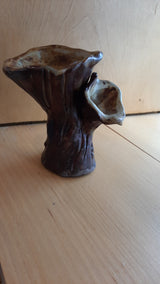 MUS0033 - Duo de champignons trompettes bruns