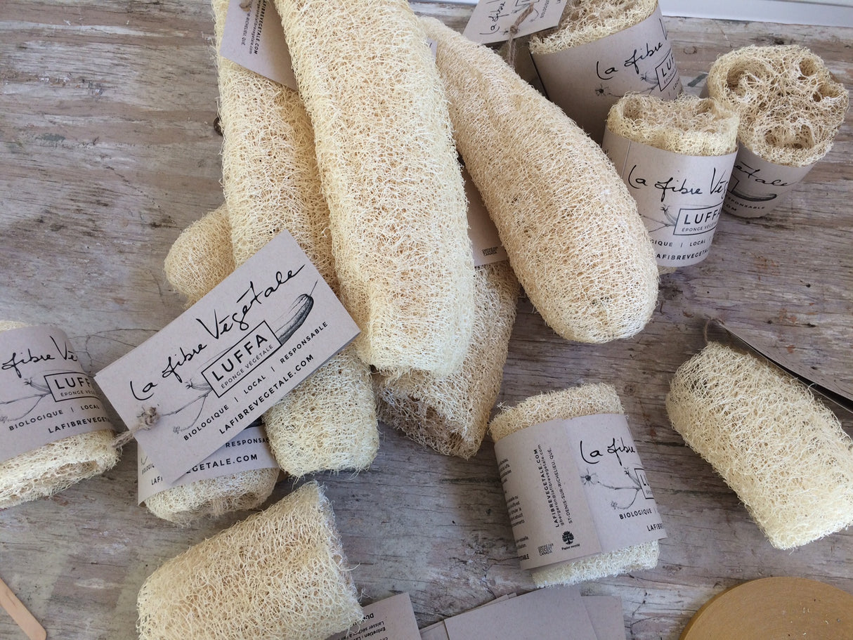 LAF0002 - LA FIBRE VÉGÉTALE - Luffa - Éponge végétale 12 po