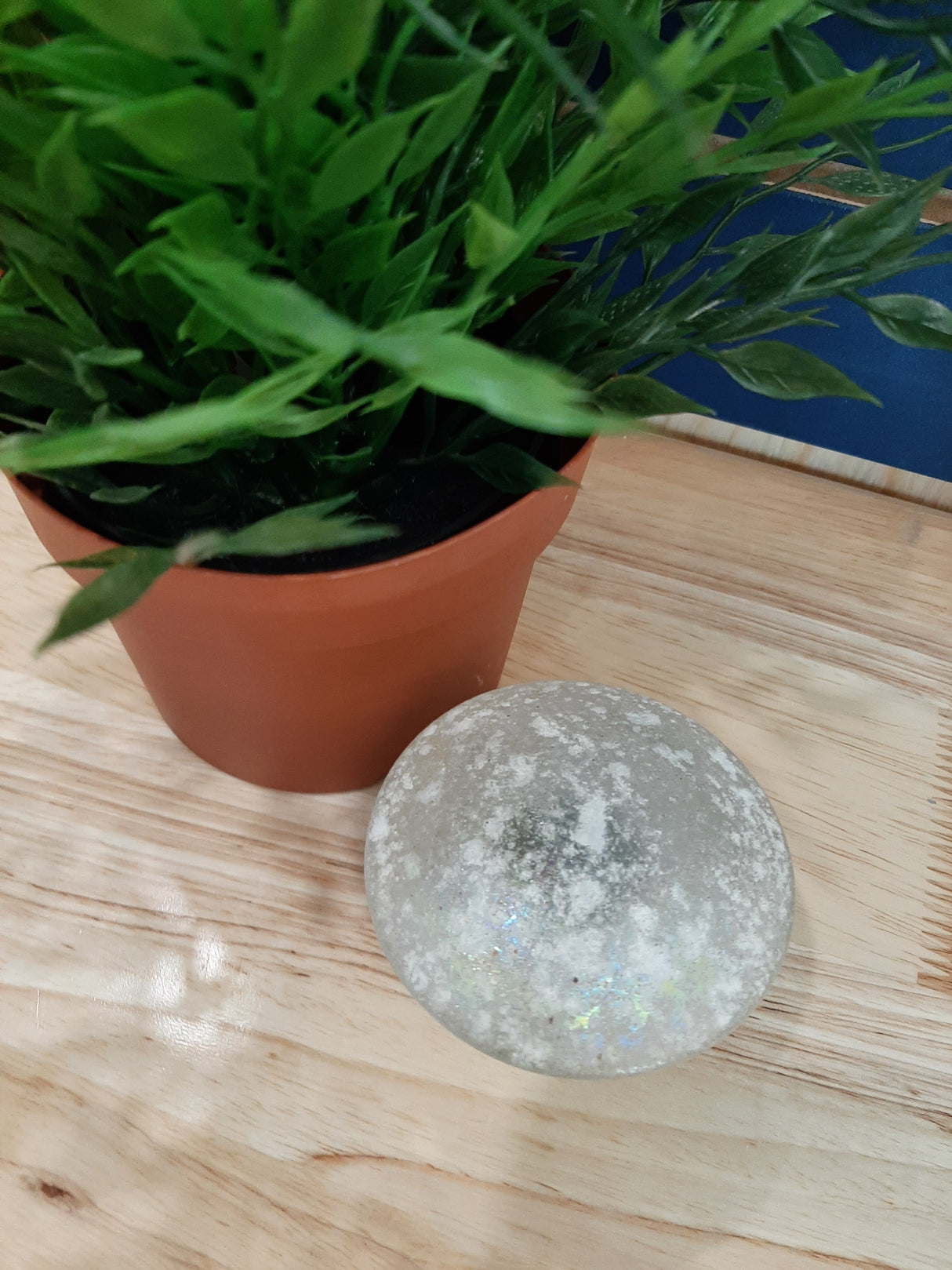 MUS0011 - Champignon en verre tacheté de neige
